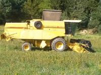 Žetev polja FINOLE z navadnim žitnim kombajnom (New Holland TX30)