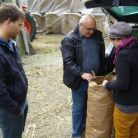 Odkup konopljinega semena in čaja 2015/2016